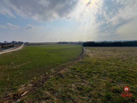 Tereny inwestycyjne w Nowym Aleksandrowie