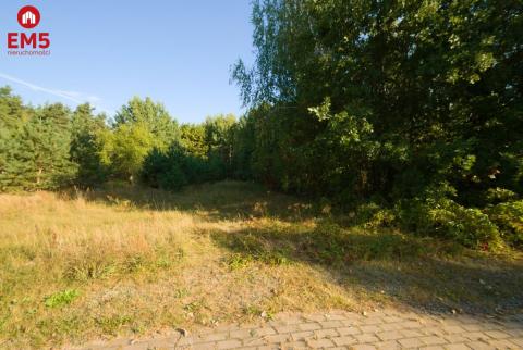 Duża działka z potencjałem Księżyno 18500m2