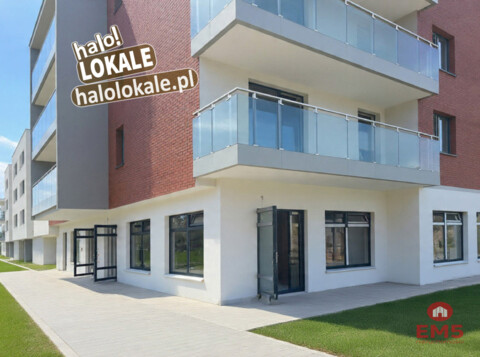 Nowe lokale do wynajęcia