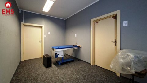 Lokal biurowy 300 m2 na wynajem