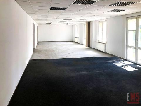 Ścisłe centrum 300 m2 parter plus piętro