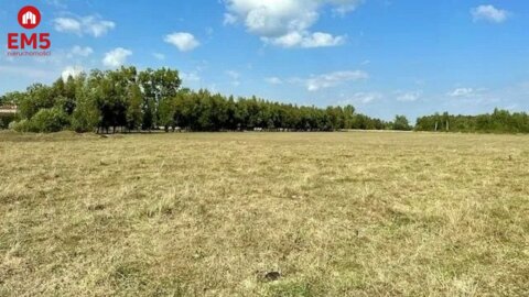 Działka budowlana, inwestycyjna 1,64 ha, Rafałówka