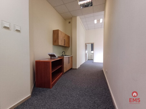 Biuro w centrum do wynajęcia