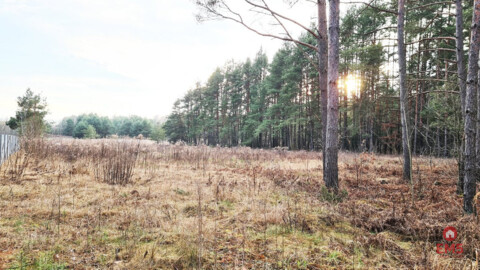 Działka 8500 m2, Jurowce