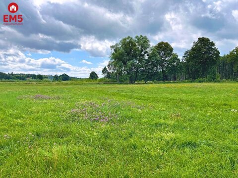 Pierwsza linia jeziora Harsz - działka budowlana.