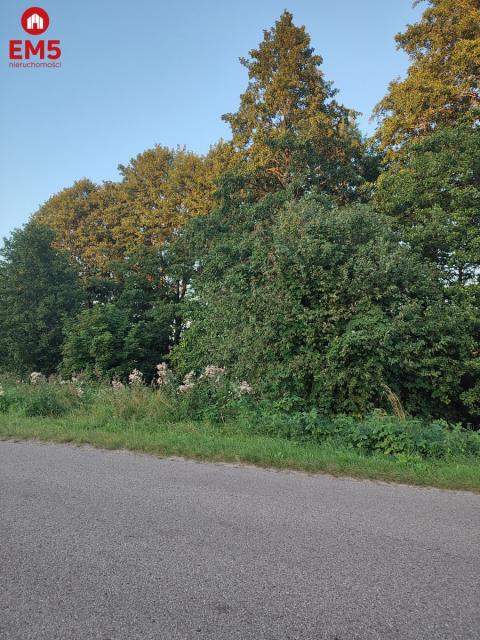 Land for sale