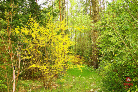 Grundstück zu verkaufen