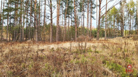 Działka 8500 m2, Jurowce