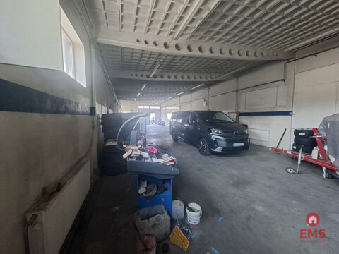 Warehouse/hall for rent