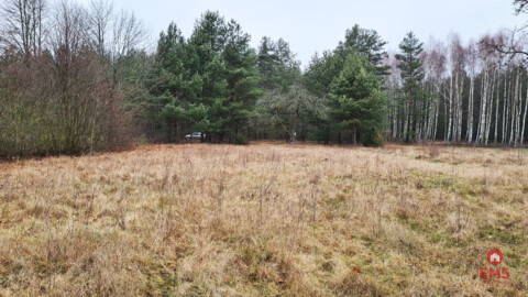 Działka 1900 m2. Pieńki