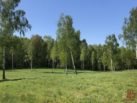 Działka budowlana - bliskość lasu i jeziora!