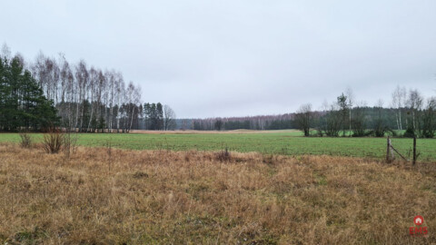 Działka 1743 m2, Pieńki
