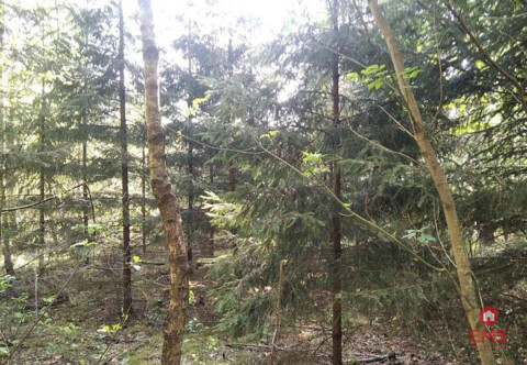 Działka idealna na domek.