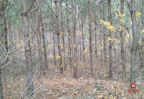 Grundstück zu verkaufen
