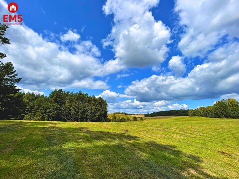 Działka budowlana na Mazurach - jezioro Pluszne.