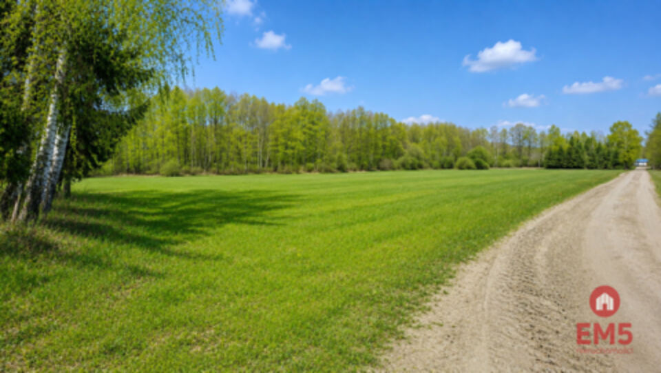 Działka rolno-budowlana 2,5 ha. Nowosiółki