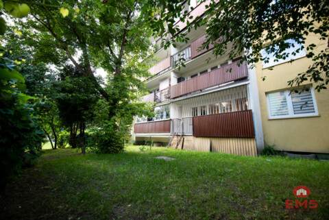 3 pokoje na wynajem