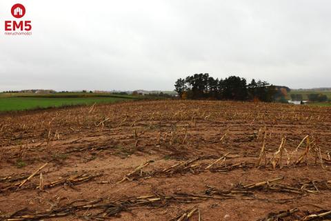 Działka rolno-budowlana - Żegary, gm. Sejny