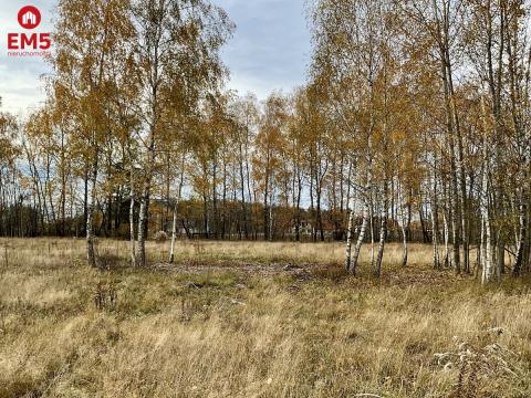 Sobolewo zaciszna  działka obok miasta.