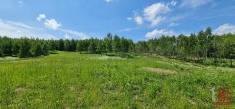 Działka 3300m Warmia plaża Jezioro Dąbrowa Mała