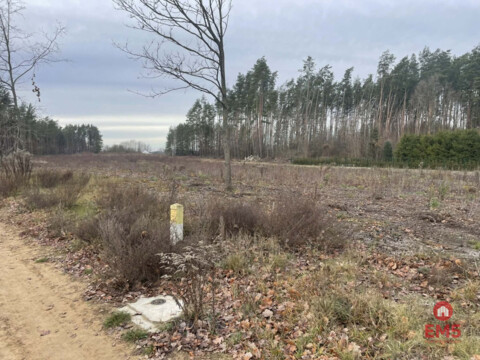 Działka pod lasem blisko Białegostoku