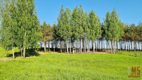 Działka budowlana 2181 m2, Krynice