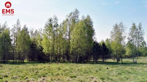Działka siedliskowa 4923 m2 pod Białymstokiem