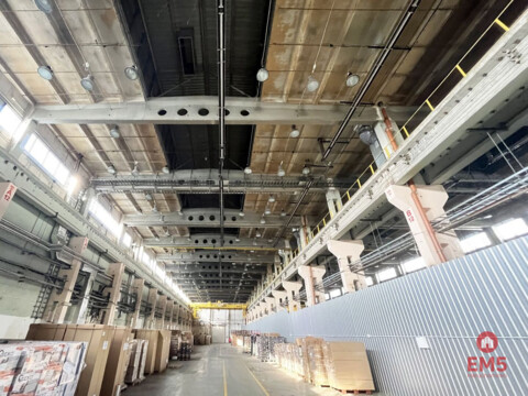 Warehouse/hall for rent