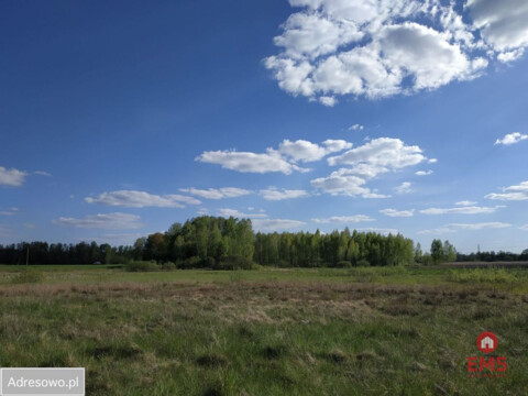 Działka inwestycyjna w pobliżu lasu.