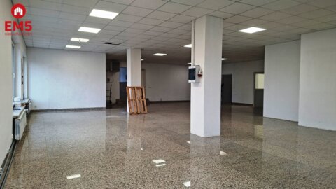 Business premises for rent