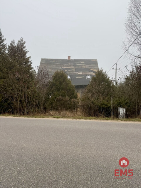 Dom w otoczeniu drzew.