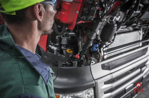 Warehouse/hall for rent