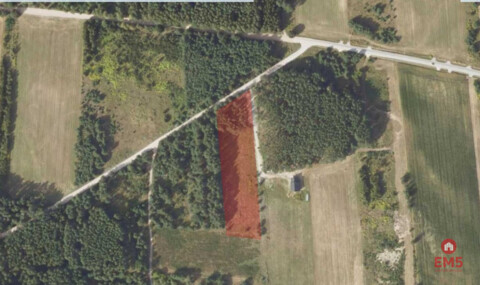 Działka 8500 m2, Jurowce