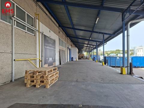 Warehouse/hall for rent