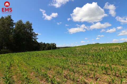 Działka budowlana na Mazurach Rożyńsk Wielki