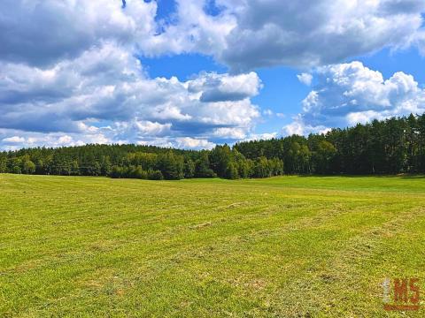 Działka budowlana na Mazurach - jezioro Pluszne!