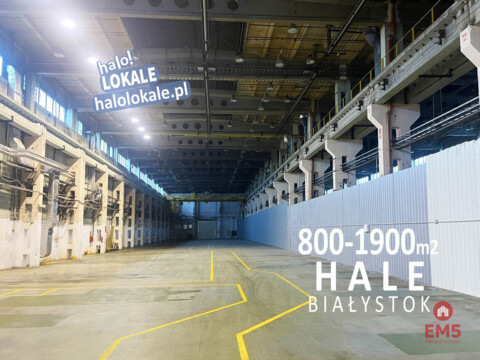 Warehouse/hall for rent