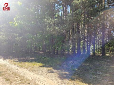 Działka z WZ w otulinie lasu w miejscowości Ciasne