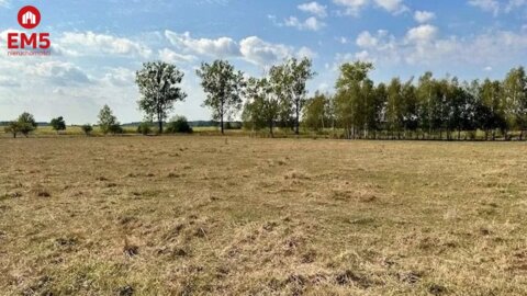 Działka budowlana, inwestycyjna 1,64 ha, Rafałówka