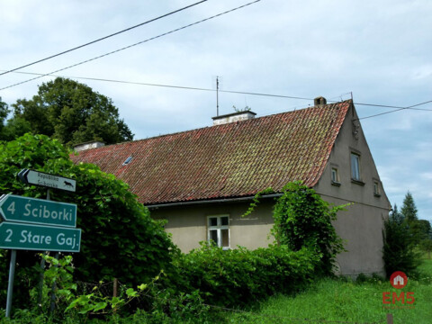 Siedlisko na Mazurach (Żabin)