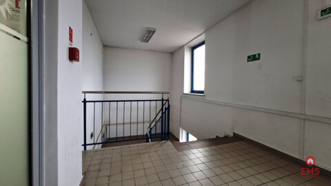 Lokal użytkowy 300 m2 na wynajem