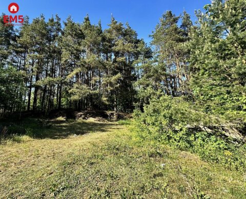 Działka w Sochoniach. Polecam!