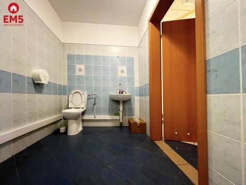 Witryna, parter, centrum, ciąg handlowy
