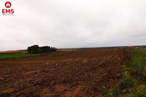 Działka rolno-budowlana - Żegary, gm. Sejny