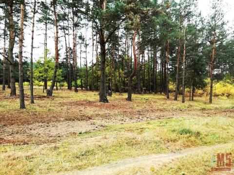 Działka  rolna 3420m2 Dubicze Cerkiewne