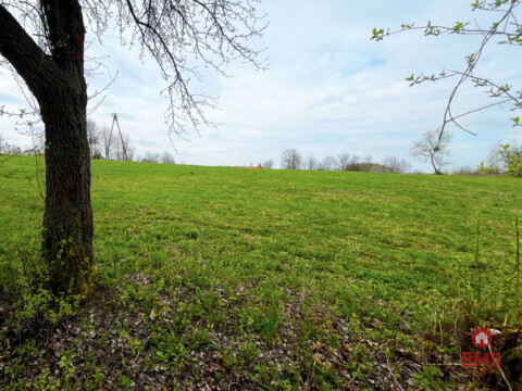 Królewskie Wzgórza, 3 km od Białegostoku.