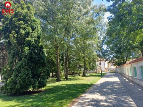 Działka pod budownictwo wielomieszkaniowe i usługi