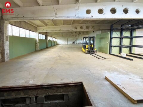 Warehouse/hall for rent