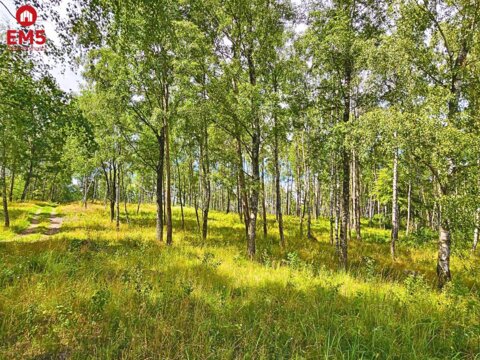 Działka budowlana z dostępem do jeziora - Mazury