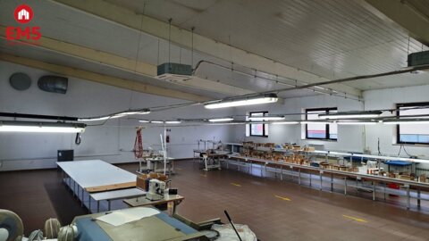 Lokal użytkowy 300 m2 na wynajem